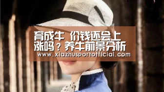 世界杯买球