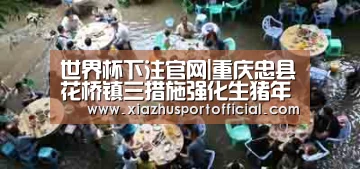 世界杯下注官网