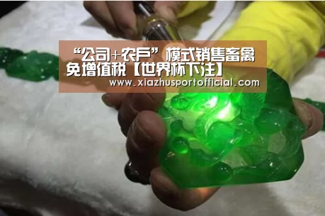 “公司+农户”模式销售畜禽免增值税【世界杯下注】(图1) 世界杯下注
