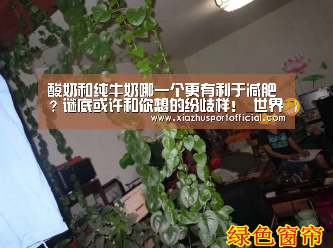 酸奶和纯牛奶哪一个更有利于减肥?谜底或许和你想的纷歧样!_世界杯下注(图1) 世界杯下注