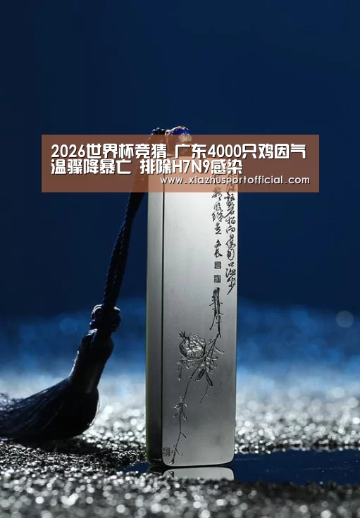 世界杯下注官网
