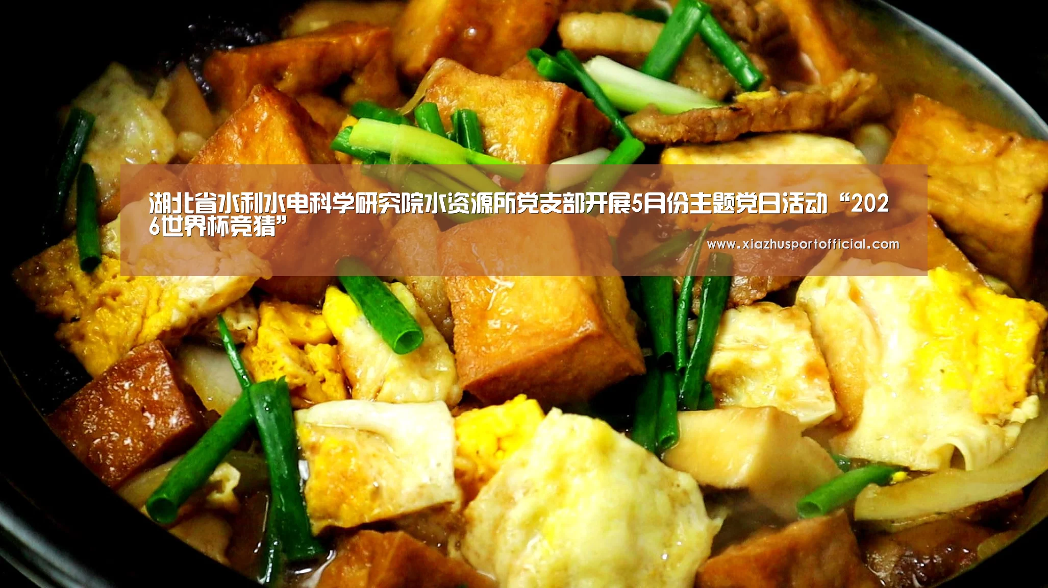 湖北省水利水电科学研究院水资源所党支部开展5月份主题党日活动“2026世界杯竞猜”(图3) 世界杯下注官网