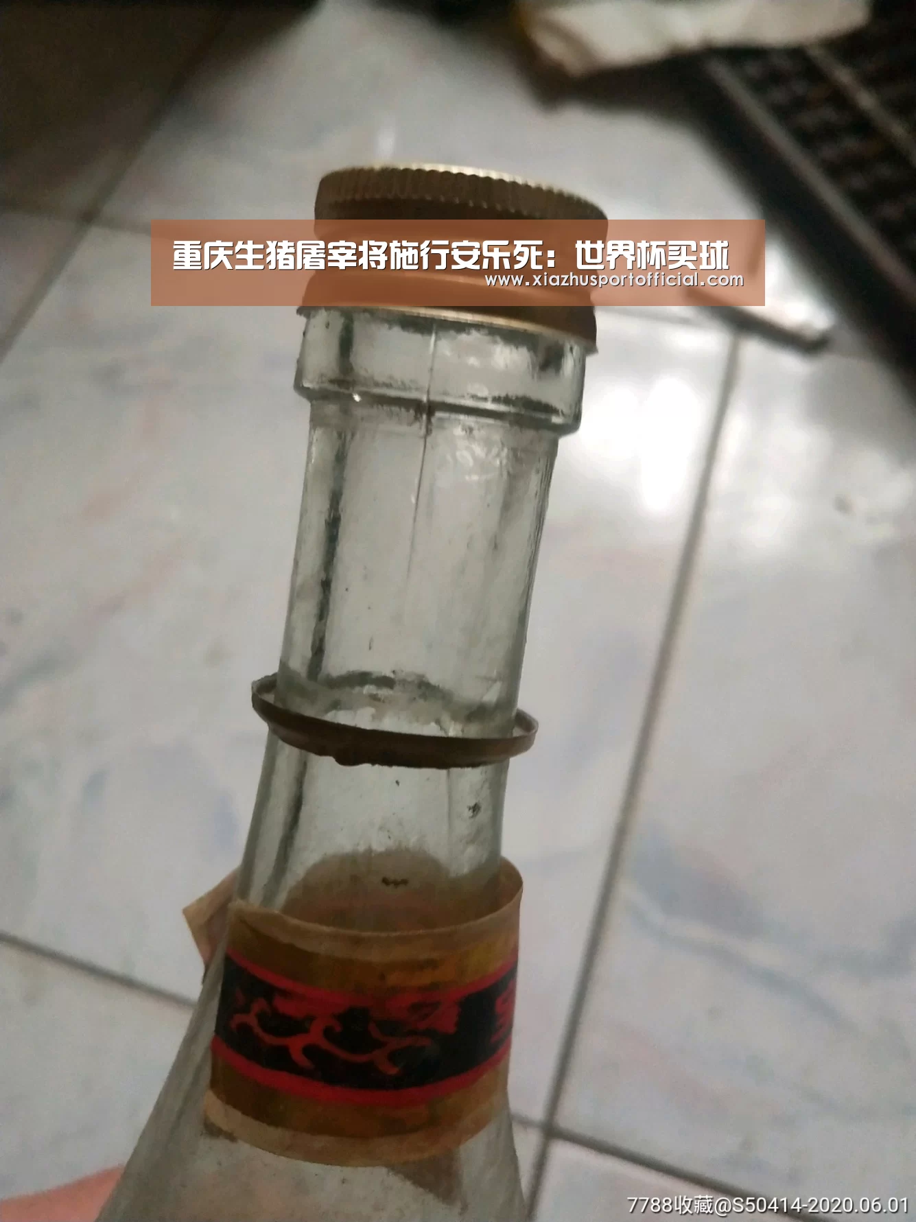 重庆生猪屠宰将施行安乐死:世界杯买球(图3) 世界杯下注官网