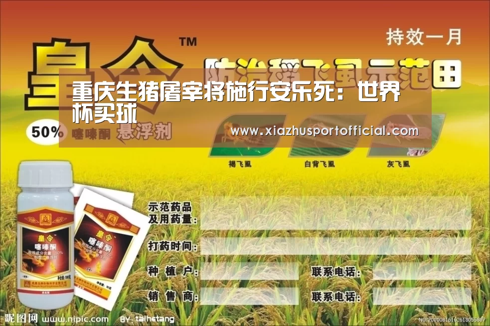 重庆生猪屠宰将施行安乐死:世界杯买球(图2) 世界杯下注