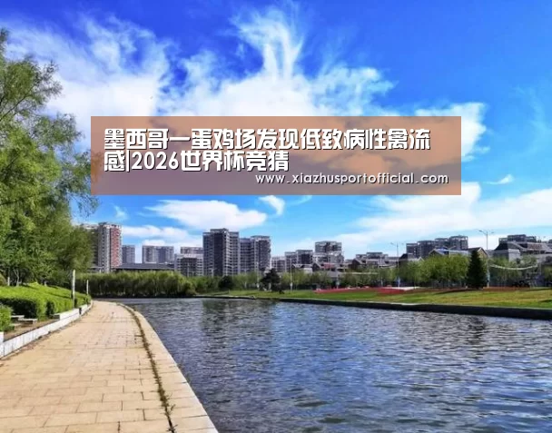 世界杯买球
