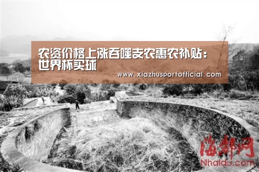 农资价格上涨吞噬支农惠农补贴:世界杯买球(图3) 世界杯下注官网