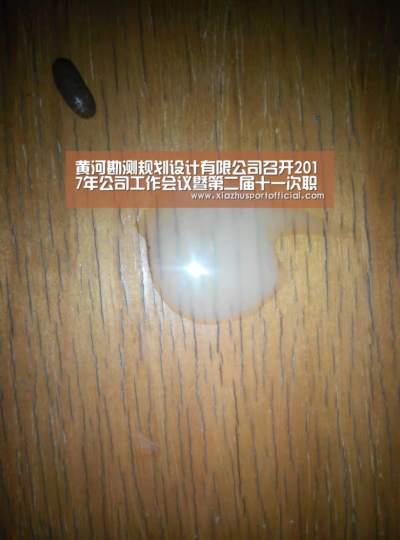 黄河勘测规划设计有限公司召开2017年公司工作会议暨第二届十一次职代会:世界杯下注官网(图1) 世界杯买球