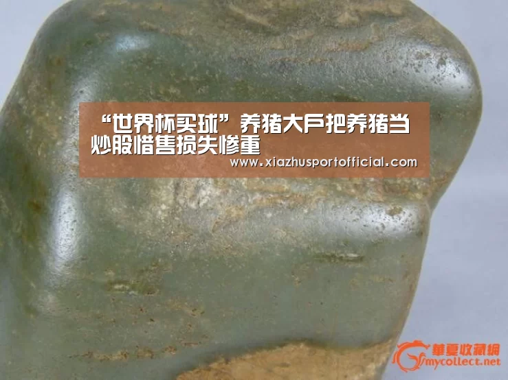 “世界杯买球”养猪大户把养猪当炒股惜售损失惨重(图1) 世界杯下注官网