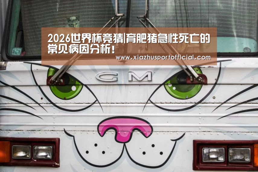 2026世界杯竞猜|育肥猪急性死亡的常见病因分析!(图2) 世界杯下注官网
